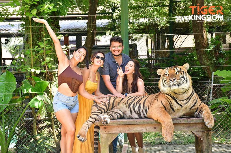 Tiger Kingdom group tour