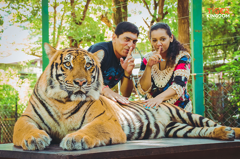Tiger Kingdom with Family